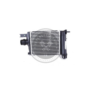 Renault OEM parts, Renault 144965154R intercooler