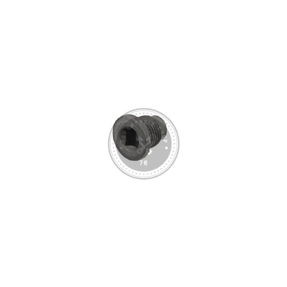 Renault OEM parts, Renault 7703075348 oil drain plug
