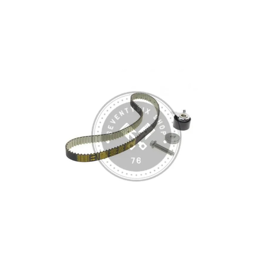Renault genuine parts, Renault 130C11508R timing belt kit (K9K)