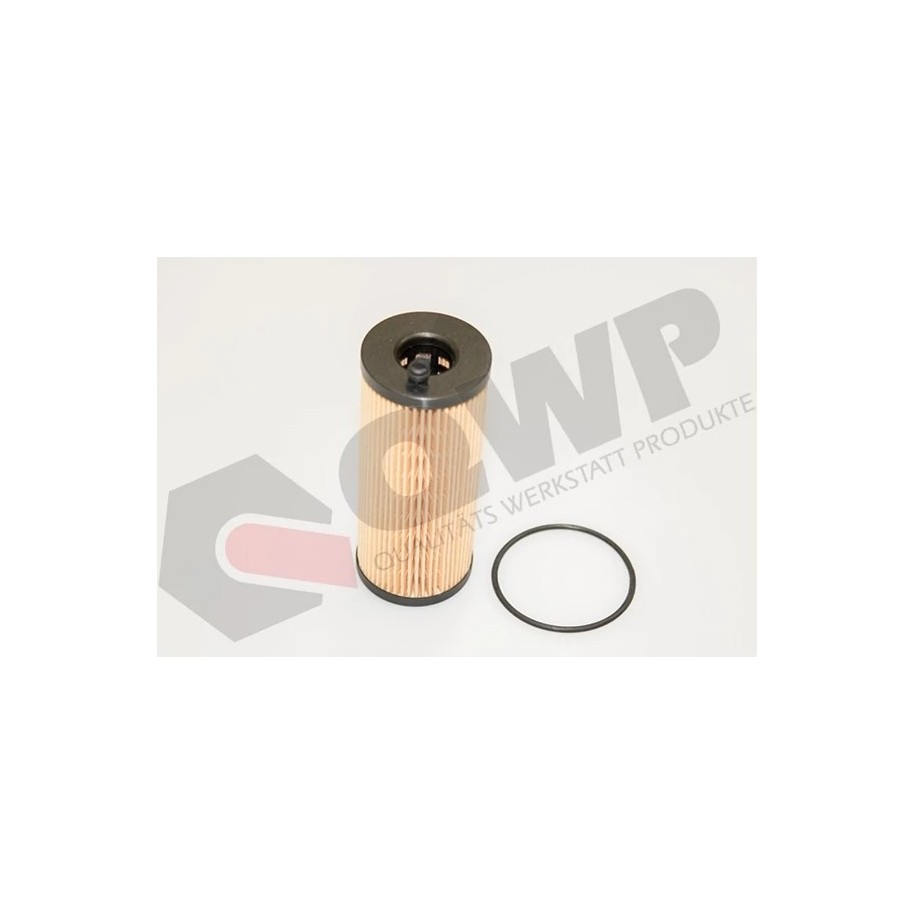 BMW parts, QWP WOF300 oil filter cartridge (11427807177)