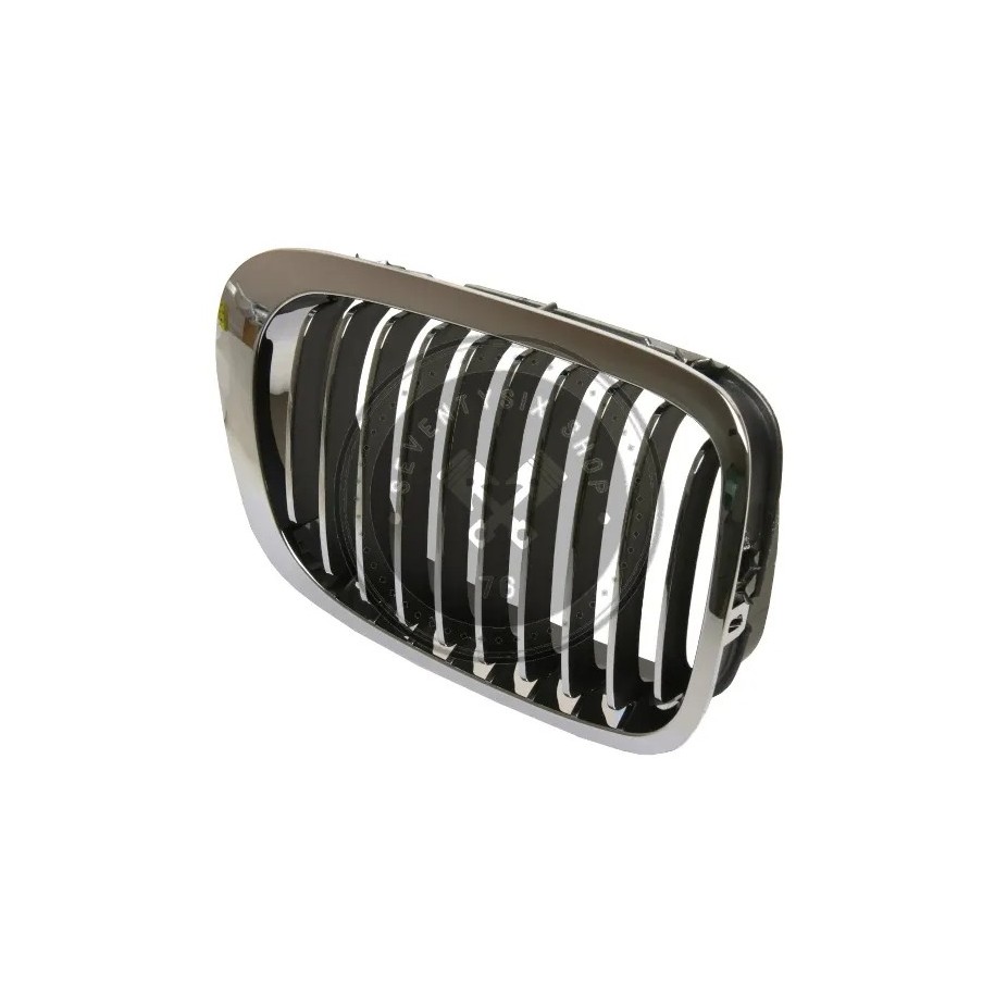 BMW genuine parts, BMW 51138208686 chrome right radiator grille E46