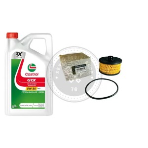 Renault Scenic IV 1.2 TCe (H5F) genuine oil change kit: 5L Castrol 5W-30 engine oil+152095084R oil filter