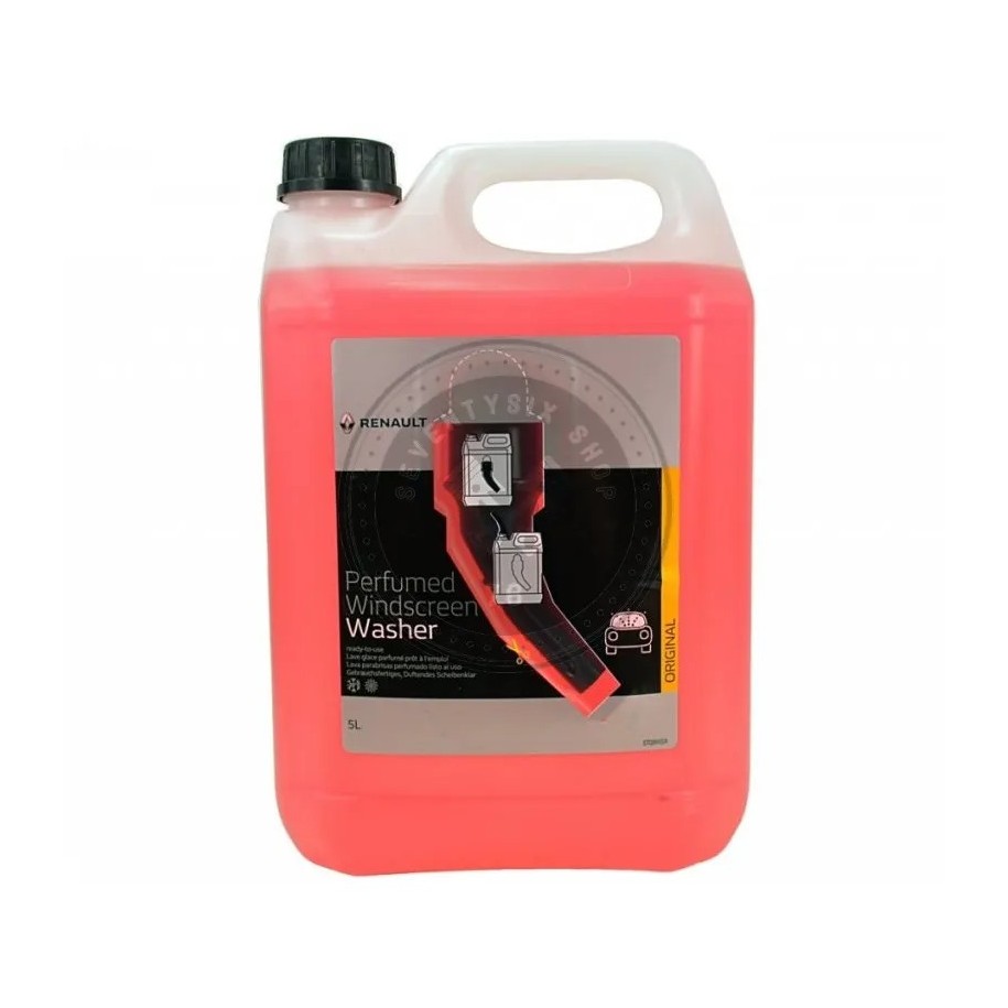 Renault 7711238976 Winter Washer Fluid 5 L –20 °C Scented