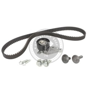 530014010 vezérlés készlet – Volvo S40, V50 1.6 benzin (B4163S3)