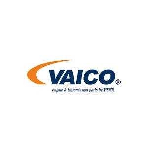 Vaico
